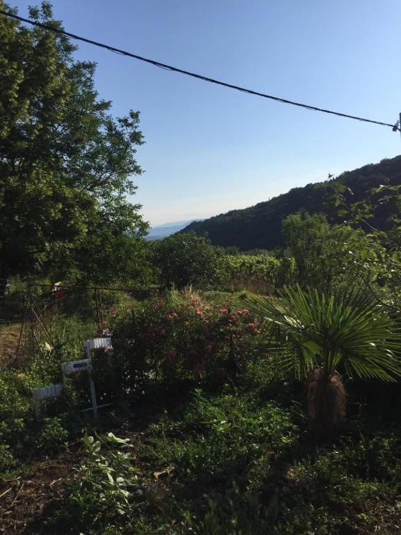 קופר Apartment Cimbora, Salara Farmhouse מראה חיצוני תמונה