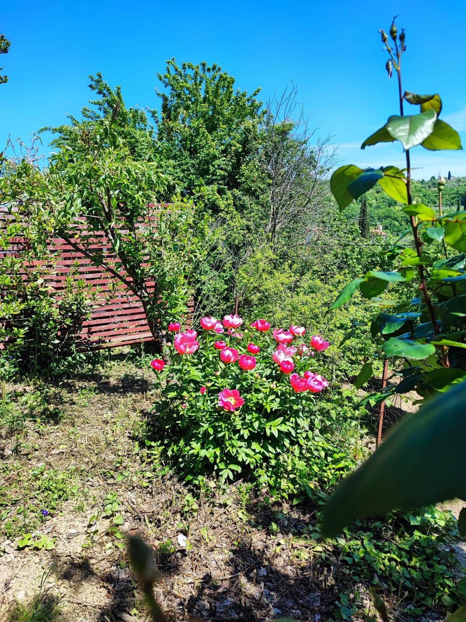 קופר Apartment Cimbora, Salara Farmhouse מראה חיצוני תמונה