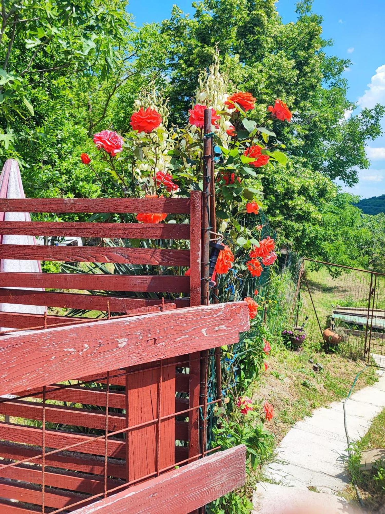 קופר Apartment Cimbora, Salara Farmhouse מראה חיצוני תמונה