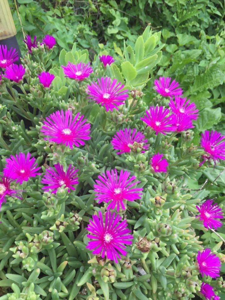 קופר Apartment Cimbora, Salara Farmhouse מראה חיצוני תמונה